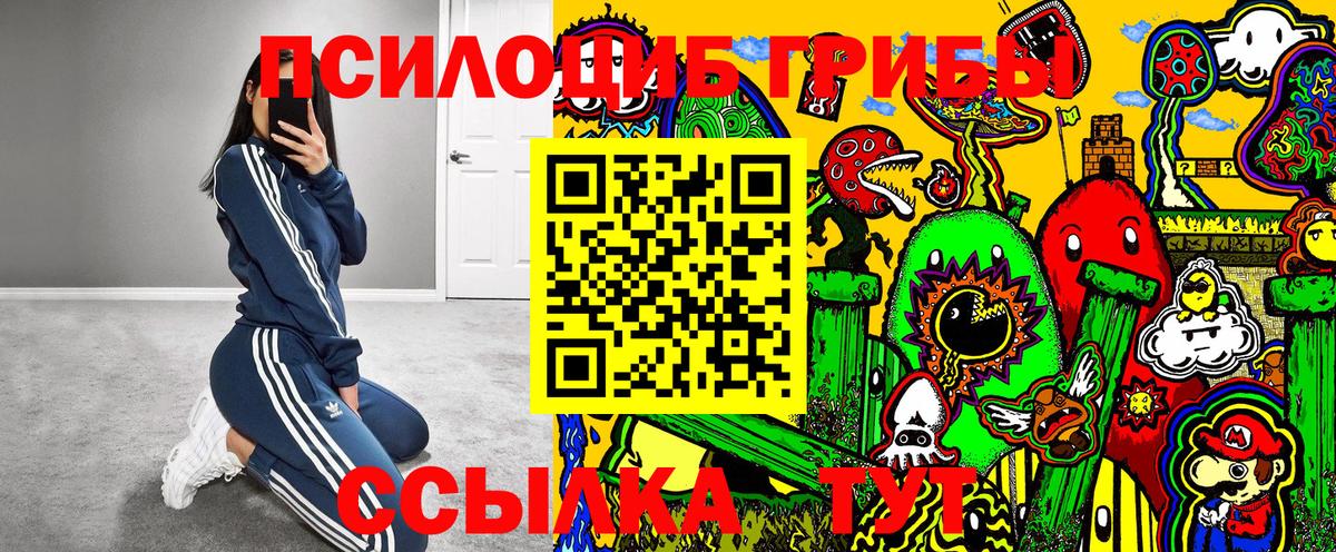наркота  Псилоцибиновые грибы прущие грибы  Вход с VPN  Ачинск 